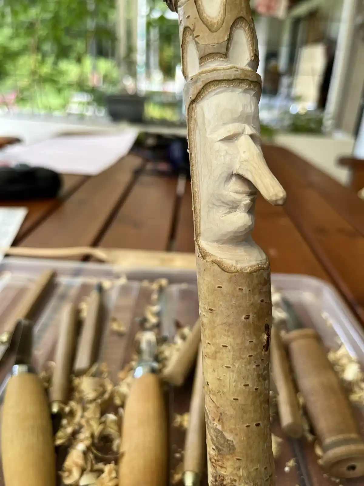 Do You Have Wood? Let’s Find Out!