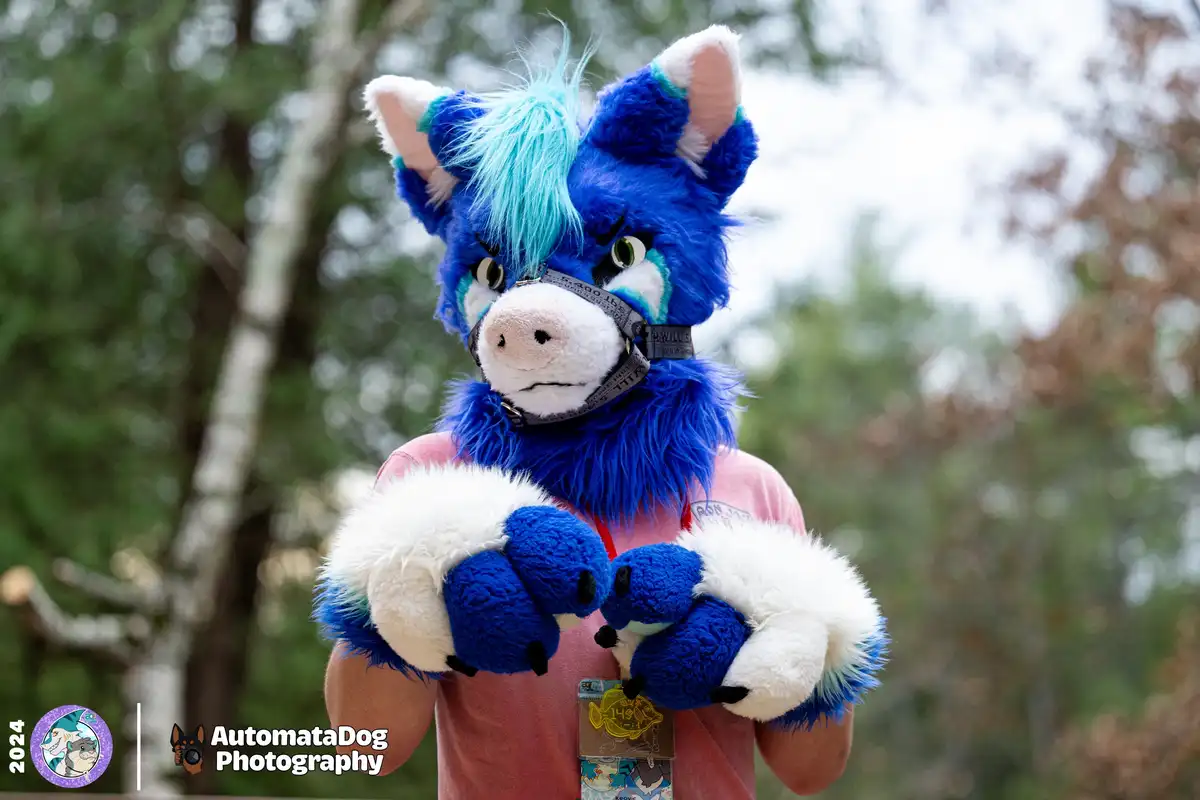 A person in a blue and white furry costume resembling a wolf or fox with a pig-like snout and green eyes stands outdoors…