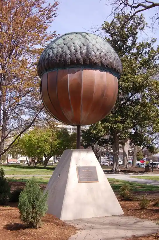 A large, bronze sculpture of an acorn stands on a concrete pedestal in a park, surrounded by trees with autumn foliage. The…
