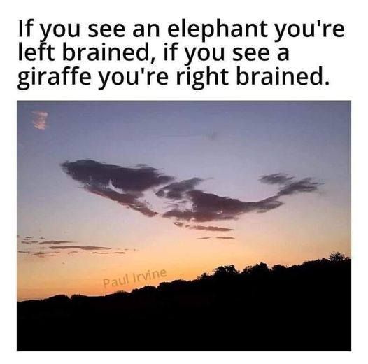 A sunset sky with silhouetted trees and clouds shaped like an elephant and a giraffe. The text overlay reads: 'If you see an…