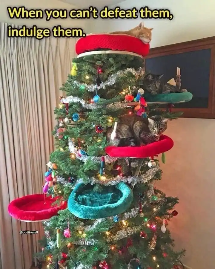 A decorated Christmas tree has been modified with multiple plush cat perches and beds at various levels. Several cats are…