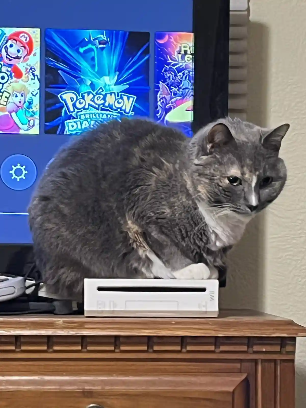 Wait, When Did This Become an Amiibo?