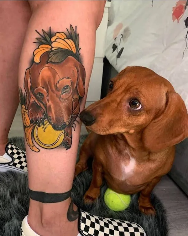 A person's leg displays a colorful tattoo of a dachshund holding a tennis ball, while a real dachshund sits beside them…