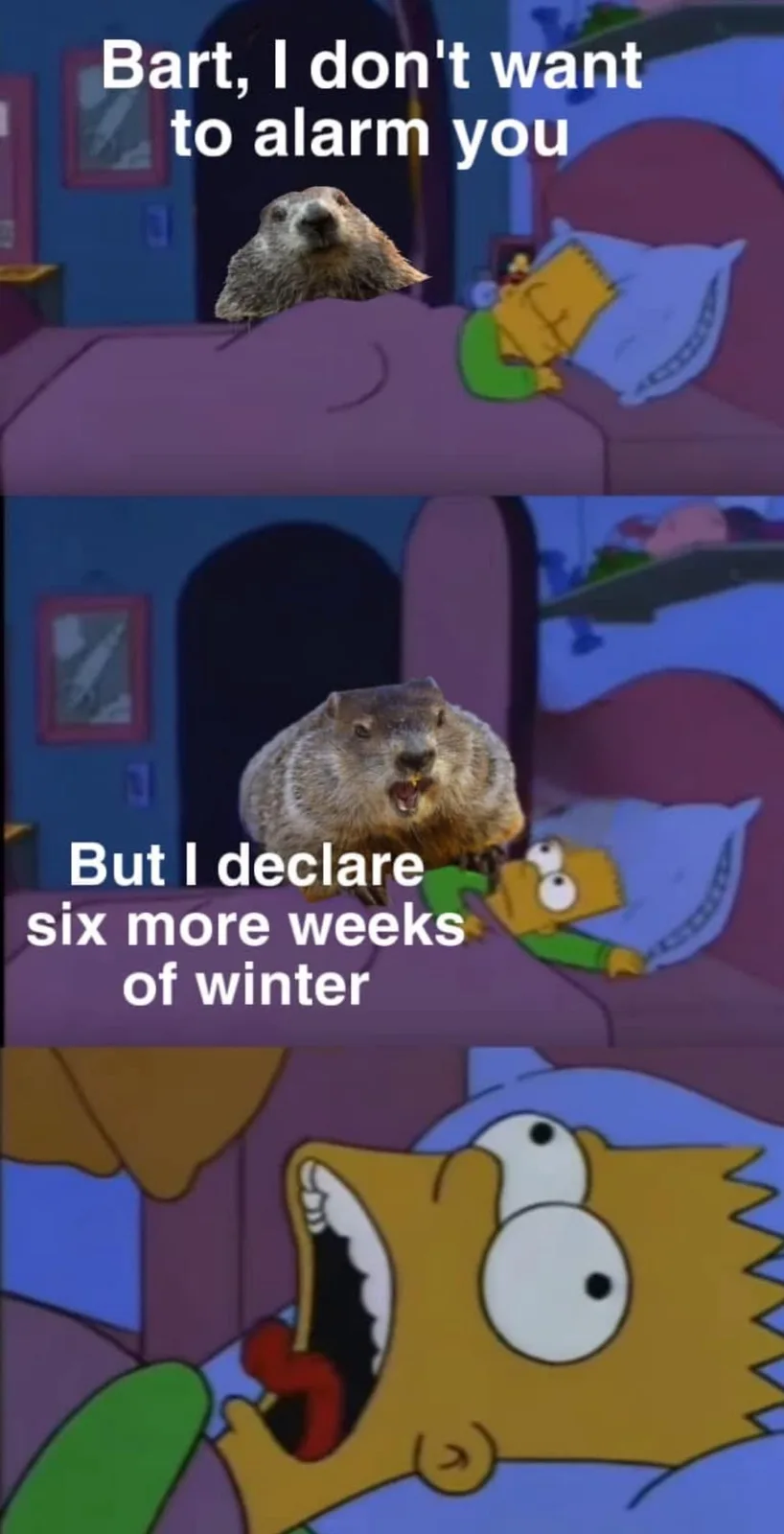 A three-panel meme featuring Bart Simpson sleeping in bed. In the first panel, a groundhog appears above him with the text…