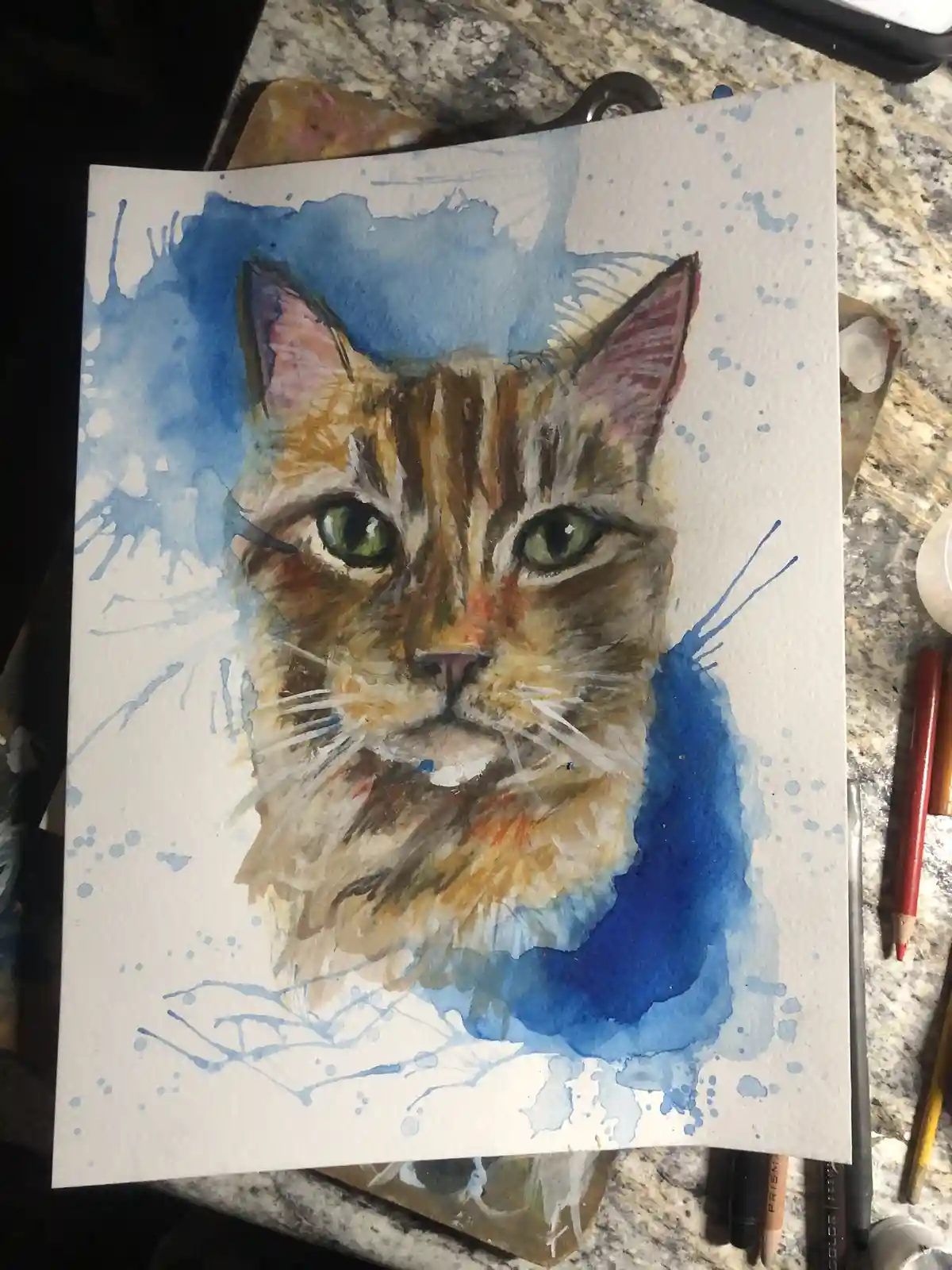 A glimpse into my life updates and artistic portraits.