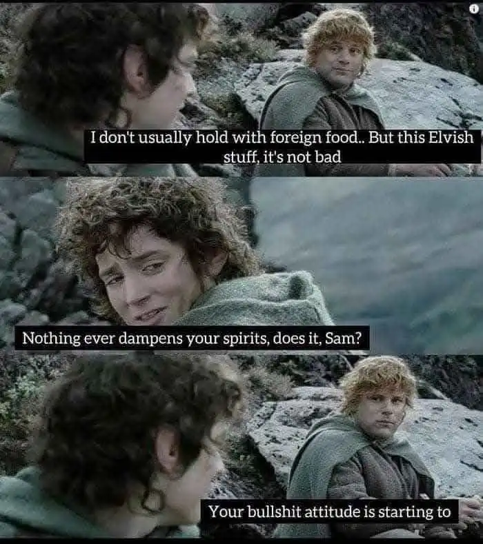 A three-panel meme from 'The Lord of the Rings' featuring Frodo and Sam. In the first panel, Sam says he doesn't usually…