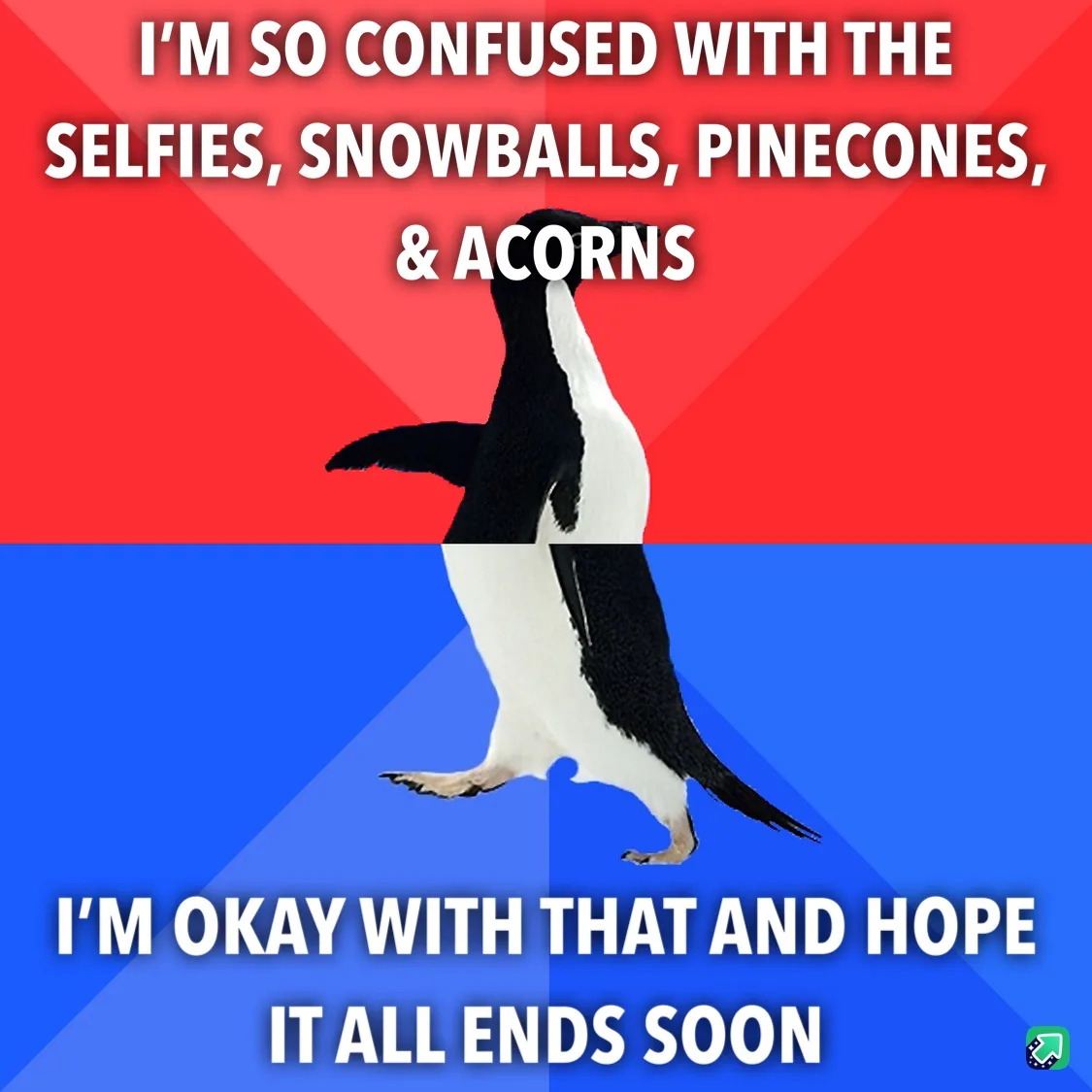 A penguin stands centered against a red and blue background, with white text overlaid in two sections. The top text reads…