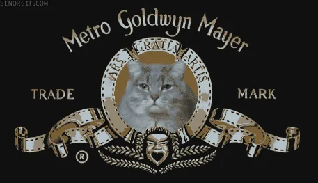 The image displays the iconic Metro Goldwyn Mayer logo featuring a gray cat in a circular frame, shown in six sequential…