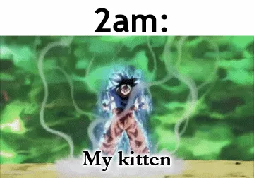 When Your Dog Gets the Zoomies...