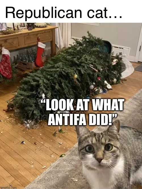 It's That Time of Year Again: Embrace the Season