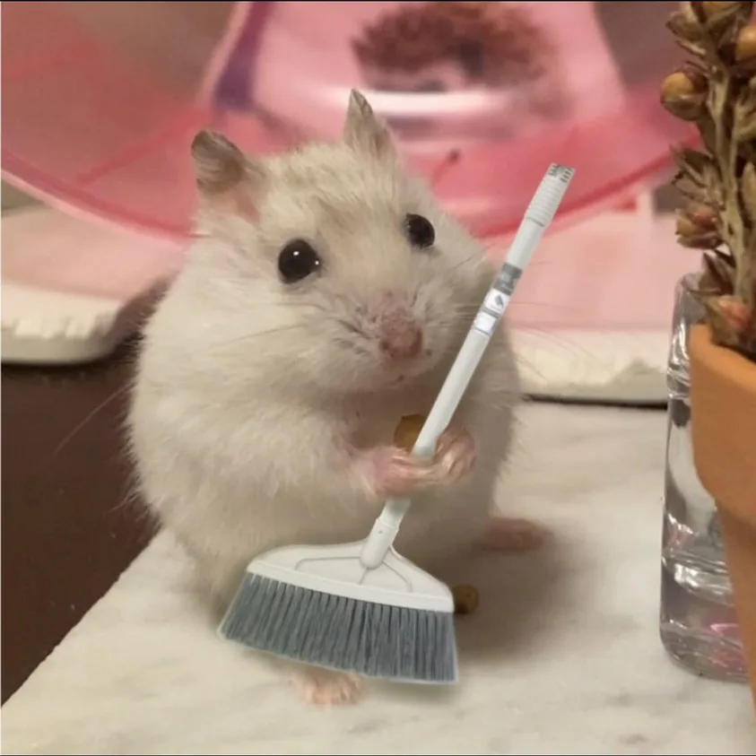 a small, fluffy white hamster is holding a miniature white broom with grey bristles, standing on a white surface. The…