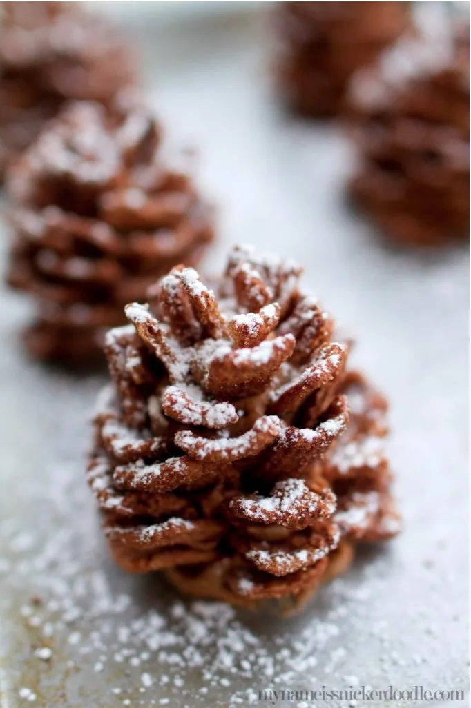 A close-up photograph shows several chocolate treats shaped like pinecones, dusted with powdered sugar, arranged on a light…