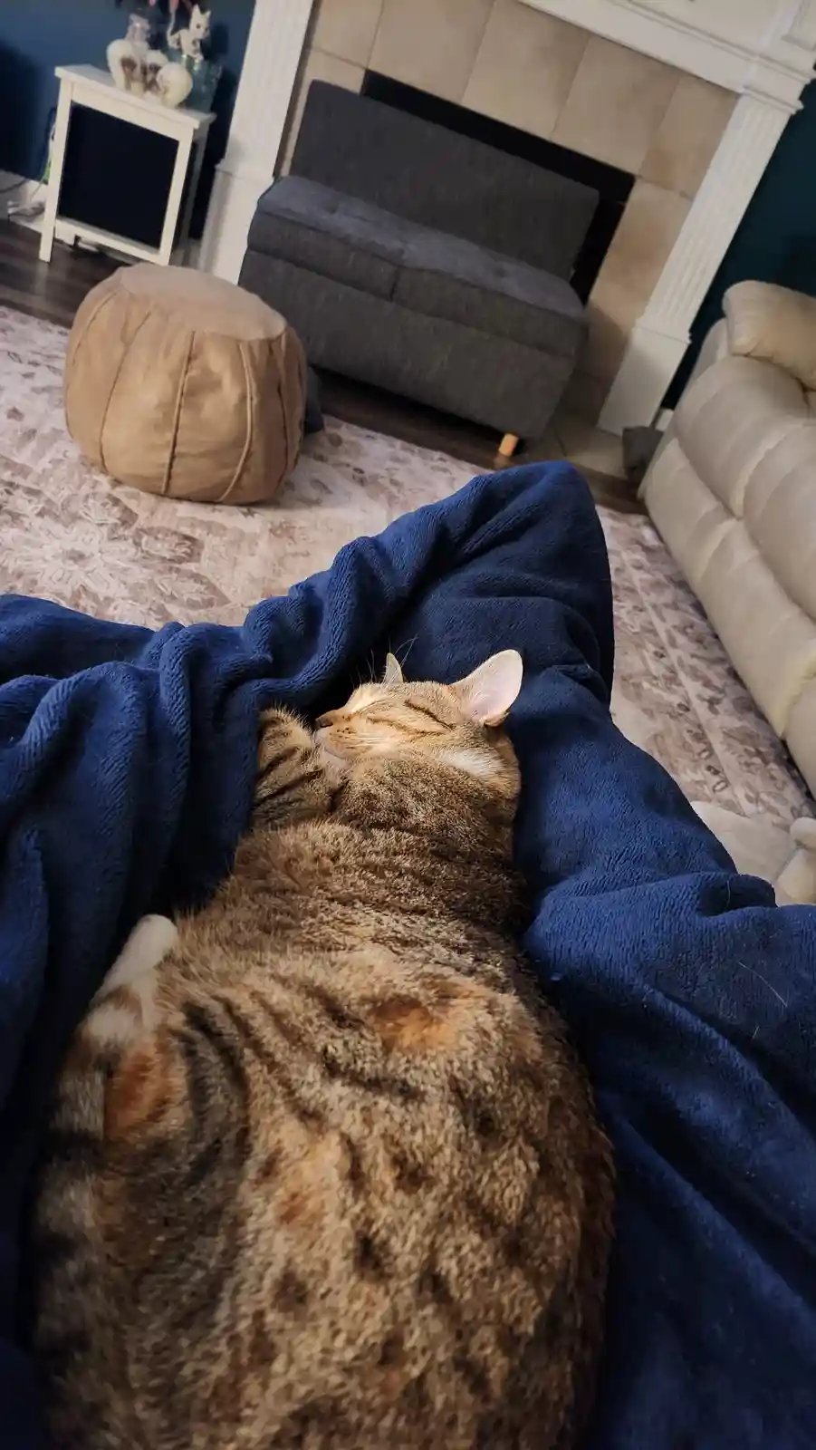 A tabby cat is sleeping soundly on a blue blanket in a living room, with a fireplace, couch, and ottoman visible in the…