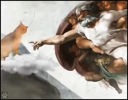 The Divine Creation of the Cat