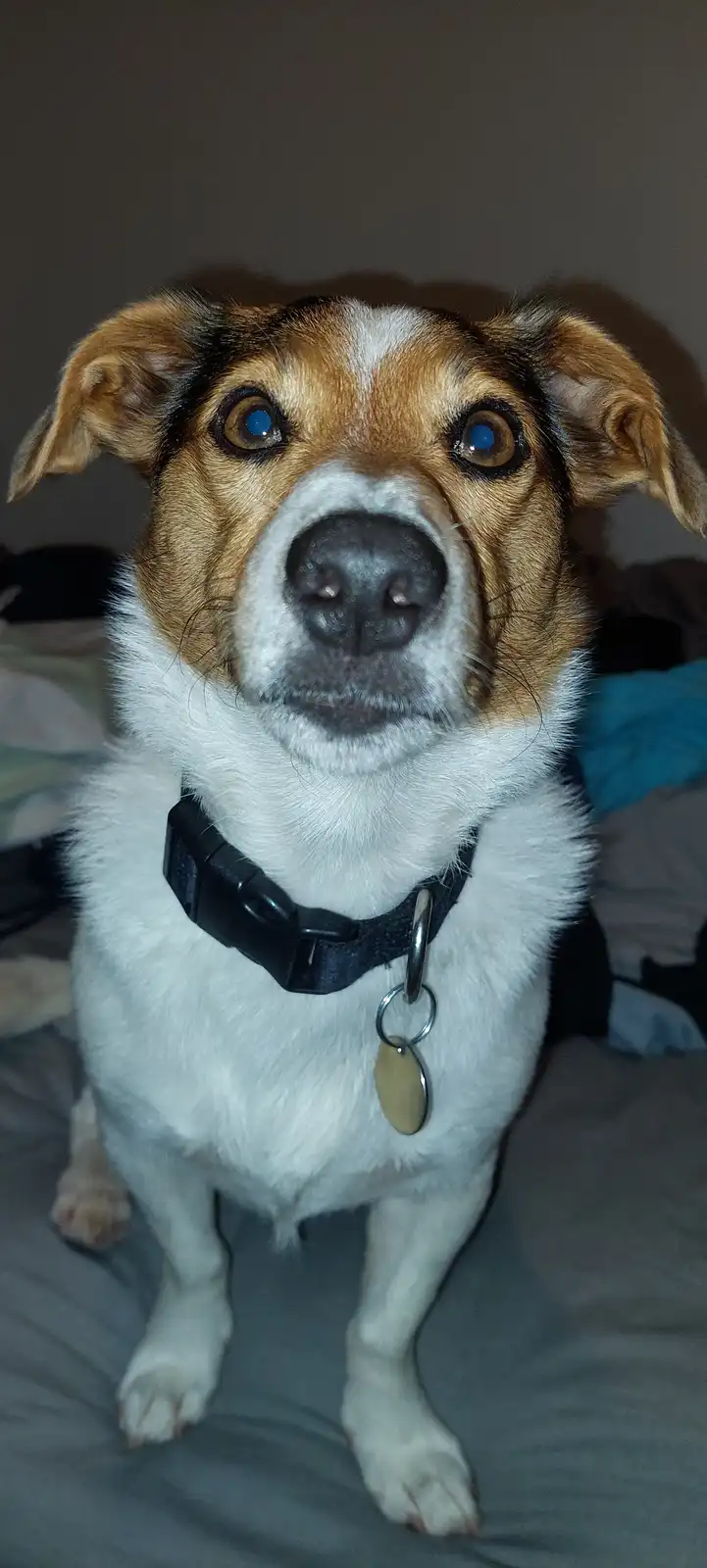 Just some dawg appreciation!