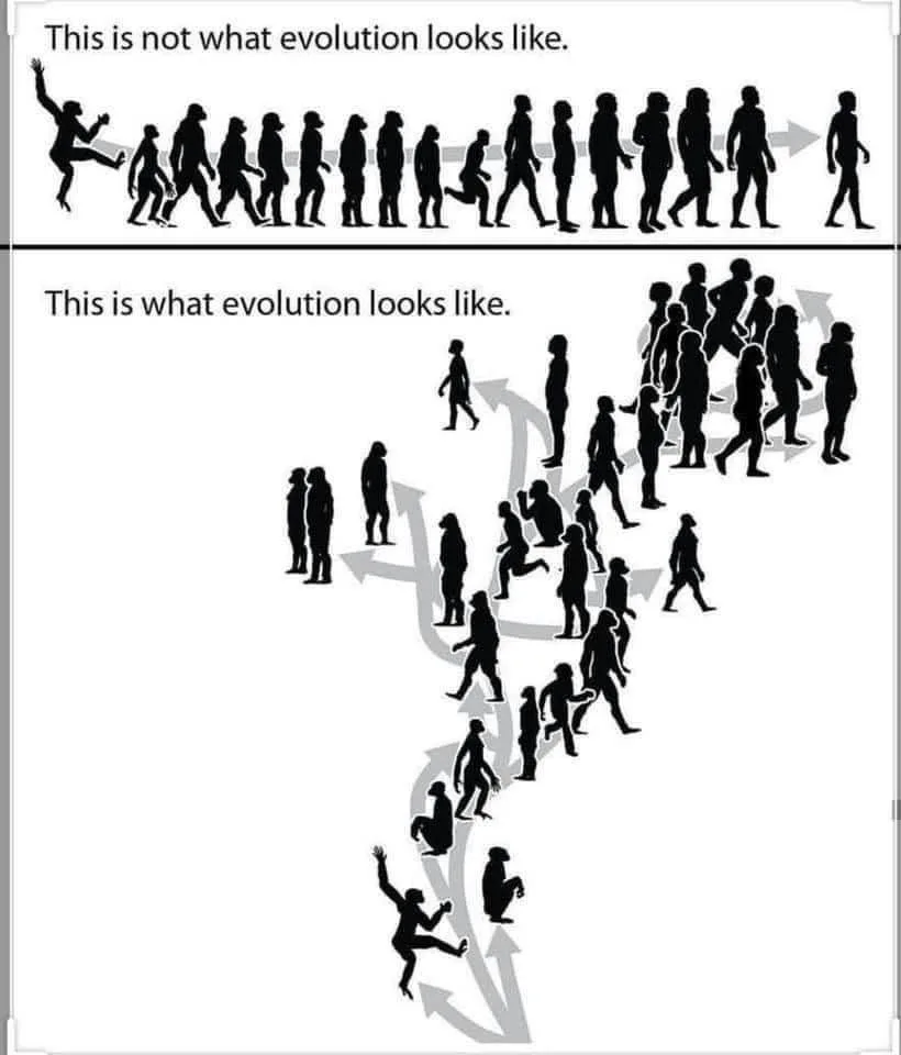 More Textbooks and Media Should Highlight This Second Graph!