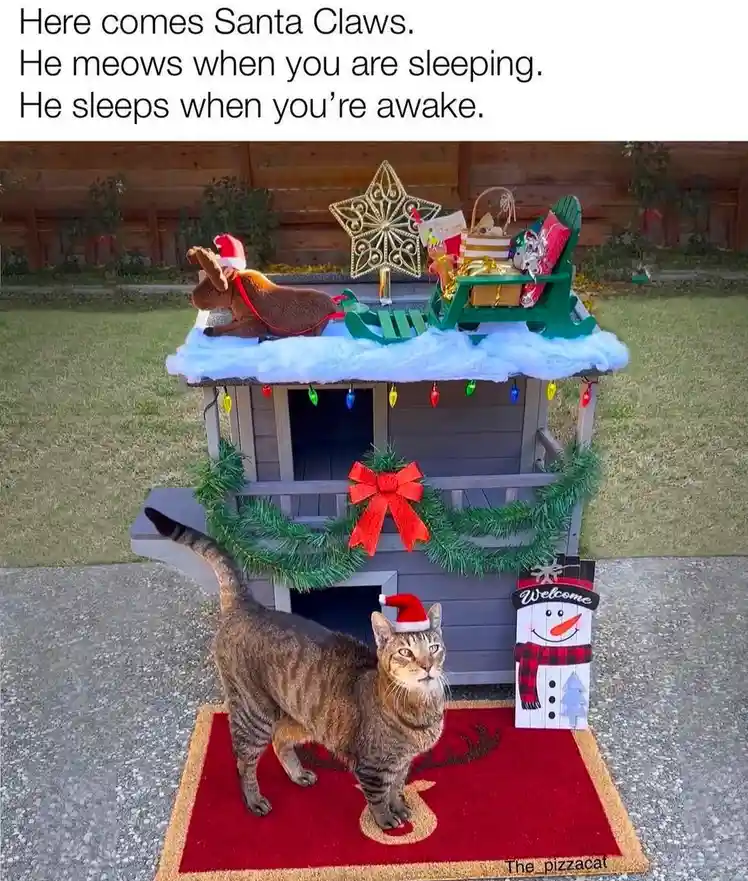 A tabby cat wearing a Santa hat stands on a red doormat in front of a decorated outdoor cat house. The cat house is adorned…