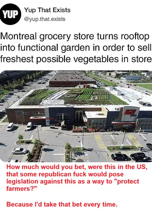 An aerial photo shows a grocery store with a rooftop garden filled with rows of plants and greenhouses. The overlaid text…