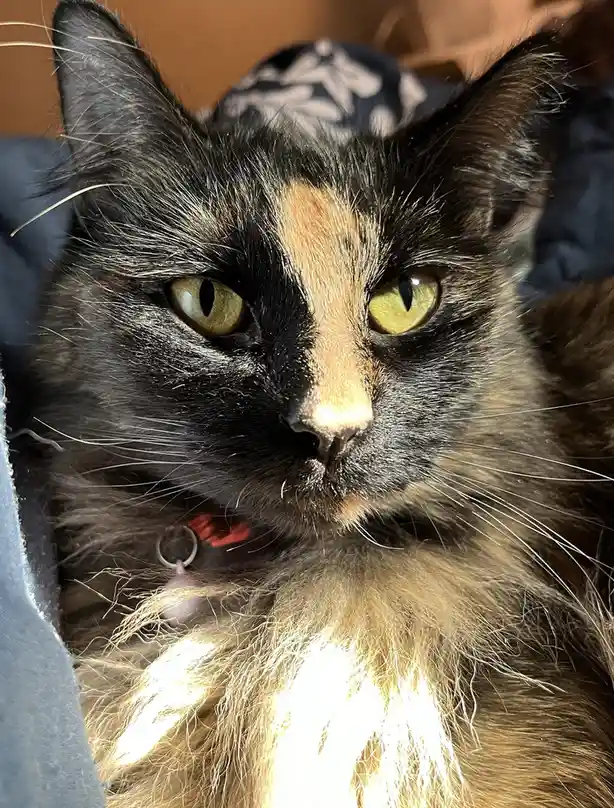 My Precious Baby Greta