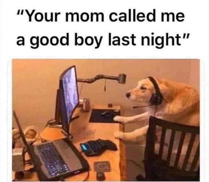 A golden retriever wearing a headset sits at a desk with a monitor, keyboard, and mouse, appearing to be working or…