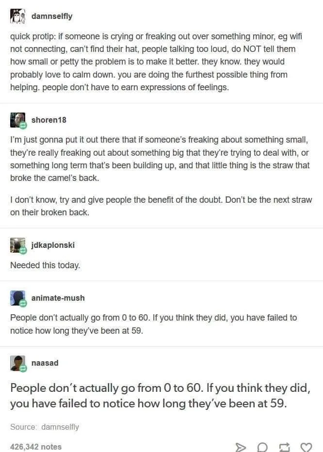 A screenshot of a Tumblr post showing a thread of comments about not trying to fix minor frustrations people are having. The…