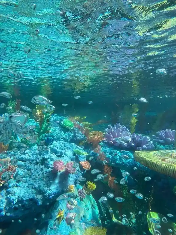 An underwater scene with colorful coral, fish, and bubbles, overlaid with the text 'i'm not a fish, i'm a human'. The image…