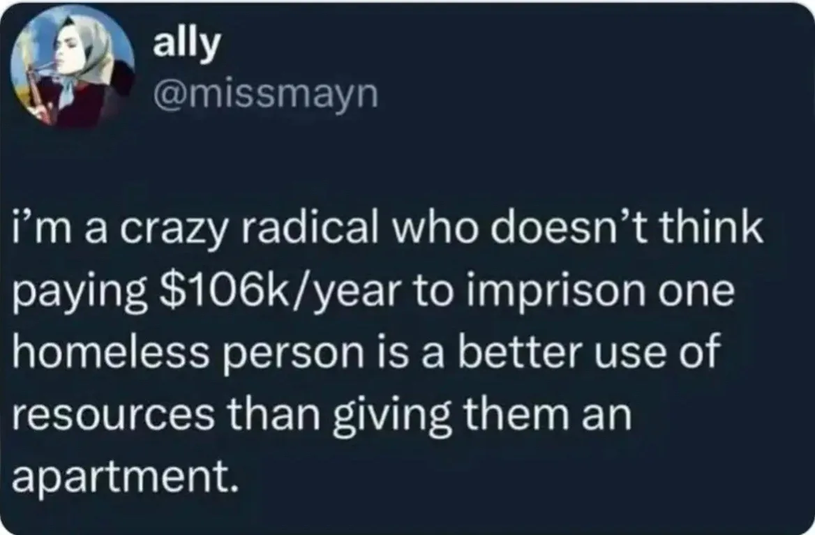 A screenshot of a tweet from user 'ally' (@missmayn) with a profile picture of a woman in a headscarf. The tweet text reads…