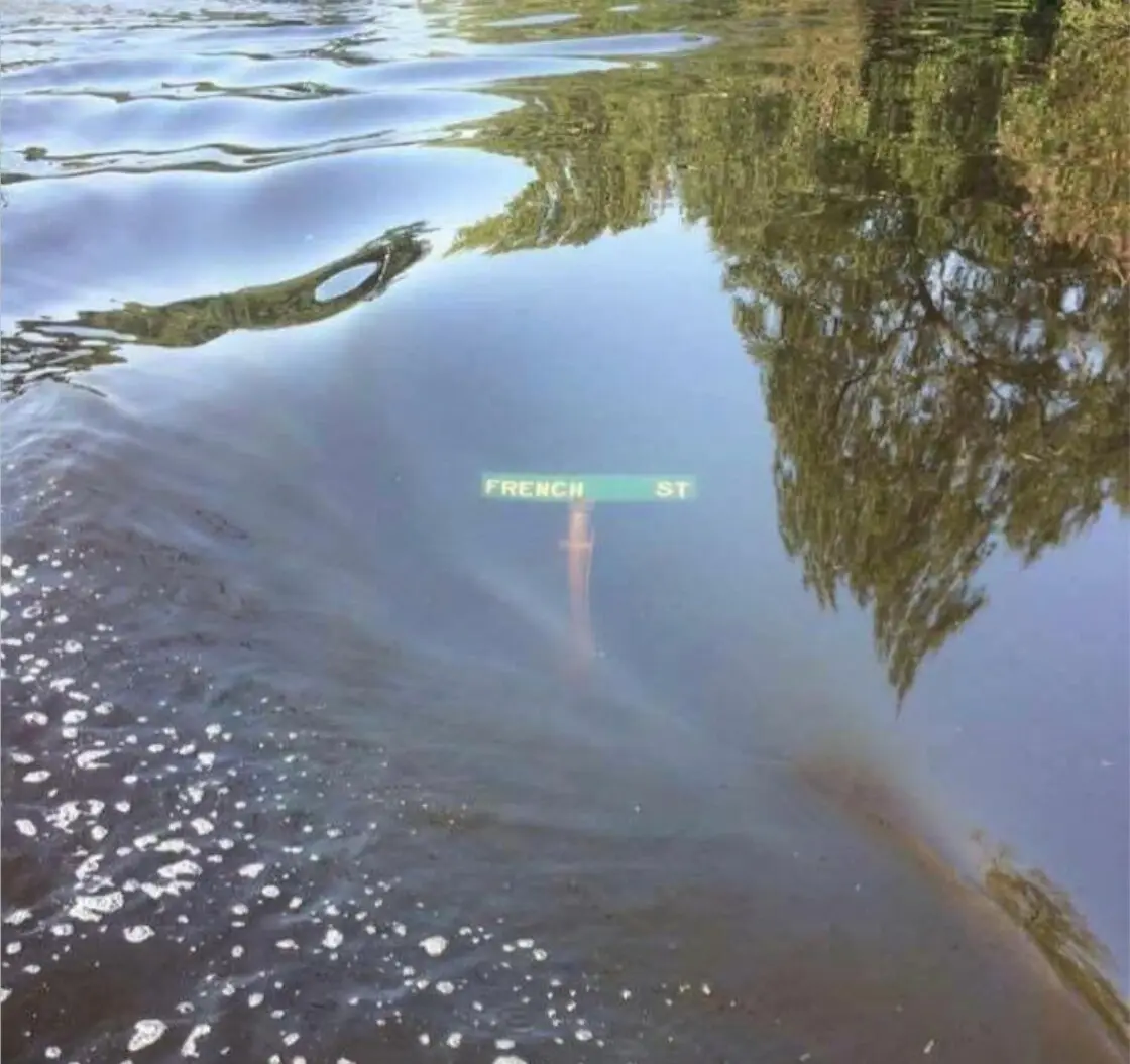 A green street sign reading 'FRENCH ST' is partially submerged in murky floodwater, with ripples and reflections of trees…