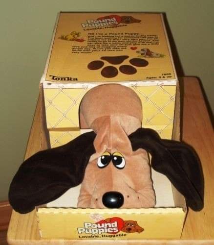 A plush toy dog with large black ears and sad eyes peeks out from the bottom of its yellow cardboard box. The box is labeled…