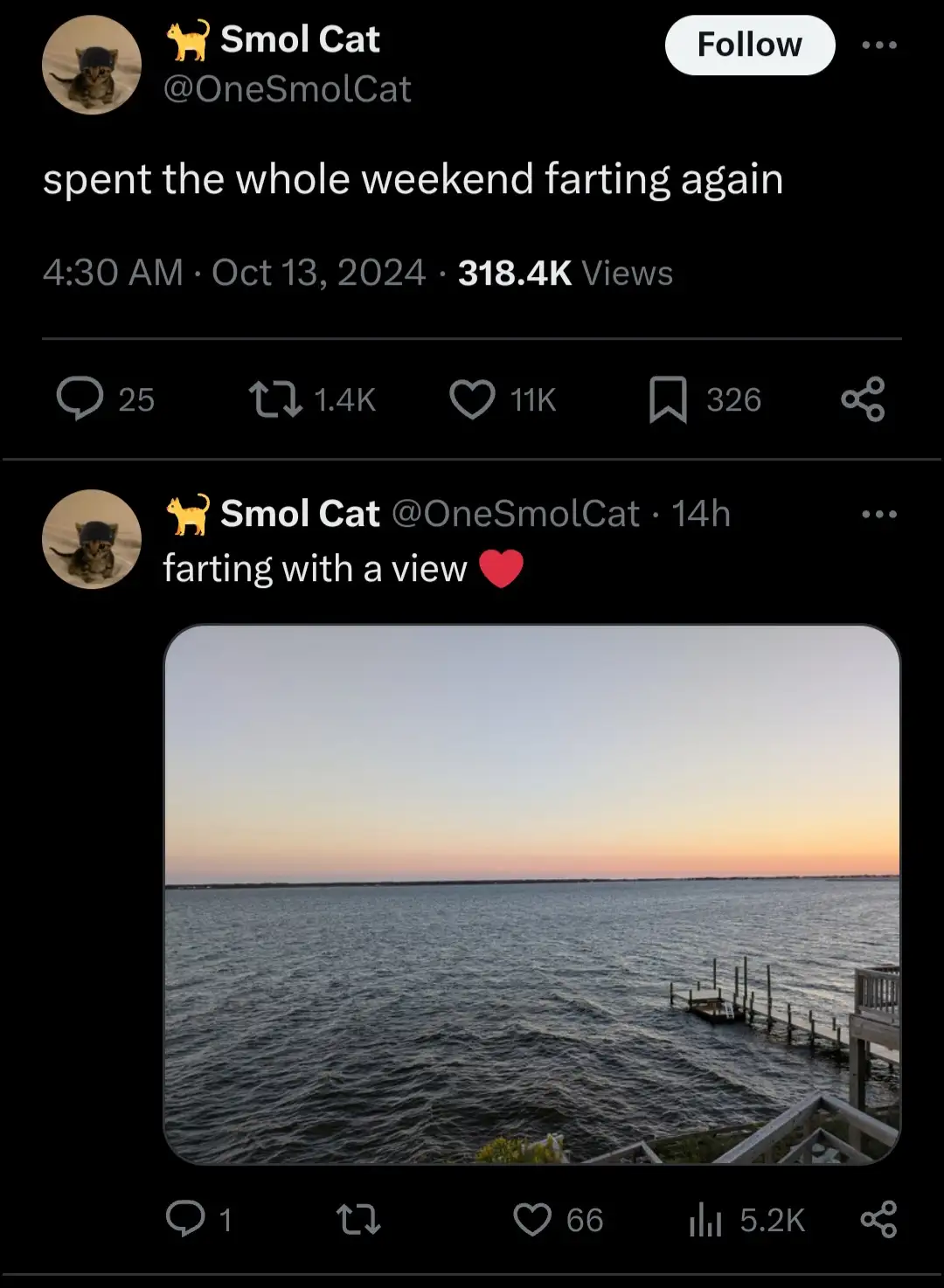 A screenshot of a social media post by 'Smol Cat' showing a serene sunset over water from a wooden deck. The post's caption…