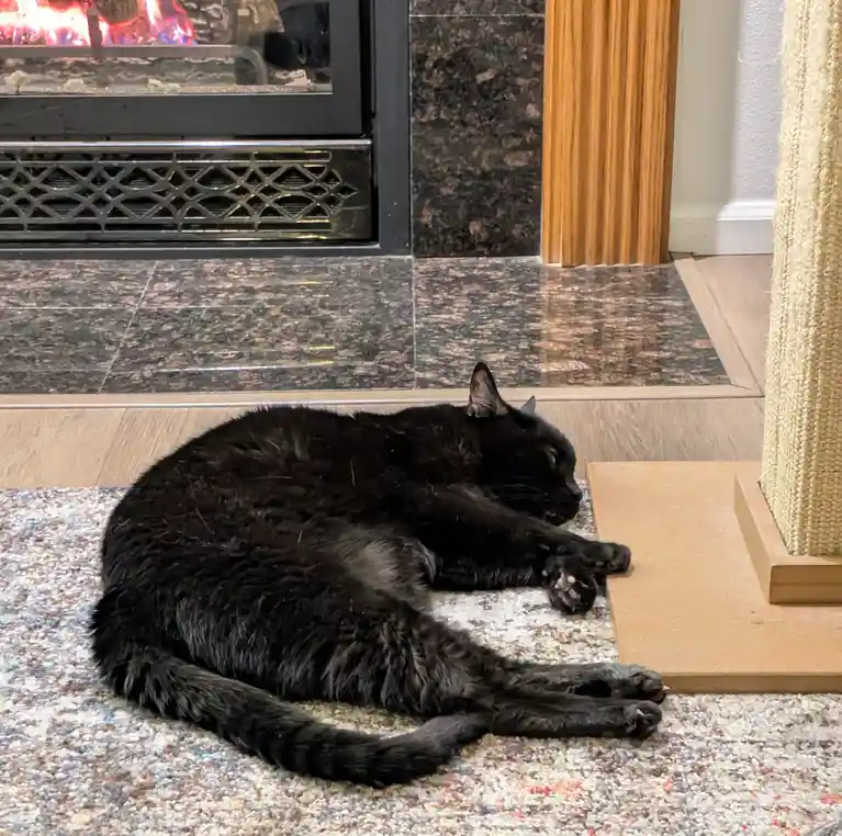 A black cat is lying stretched out on a patterned rug in front of a lit fireplace, appearing very relaxed. The cat's paws…