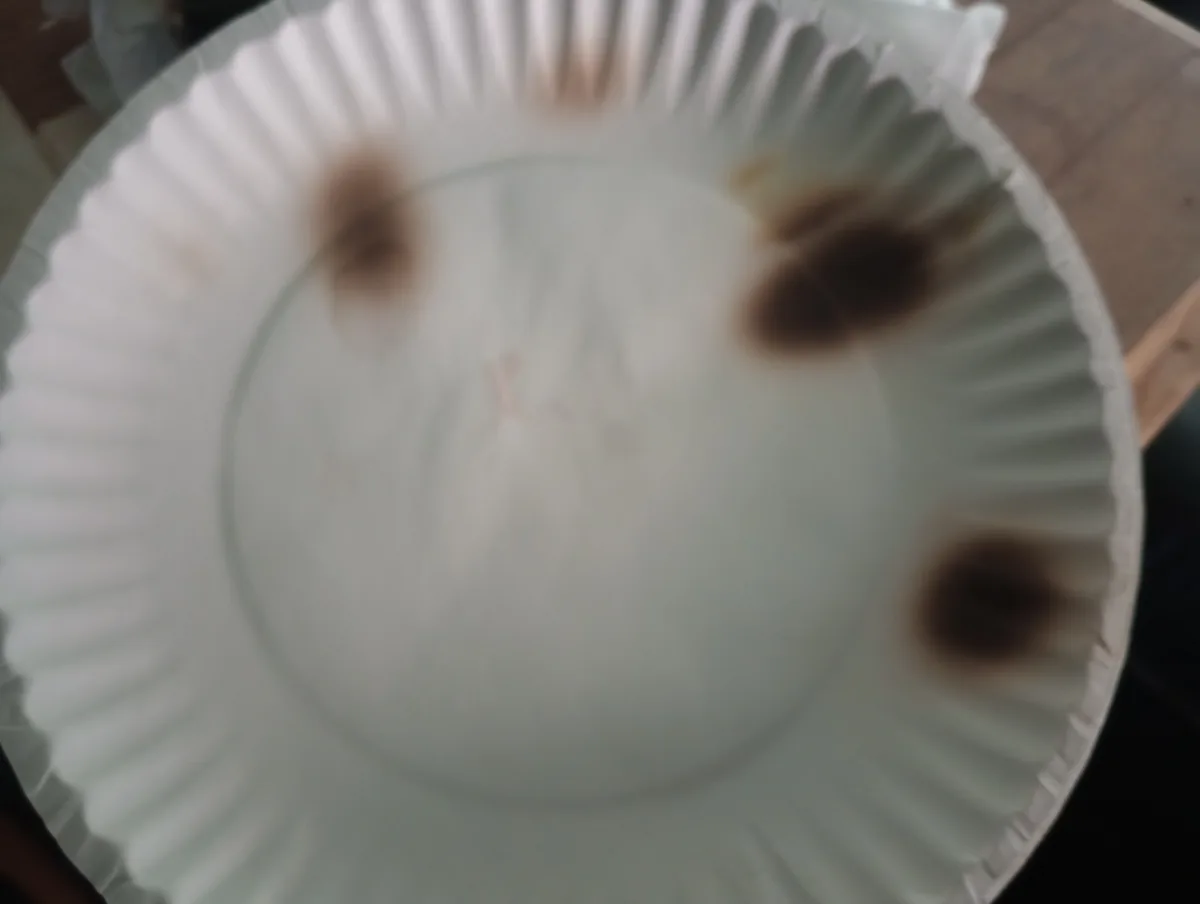 A blurry photo of a white paper plate with three dark brown burn marks on its surface, resembling eyes and a mouth, overlaid…