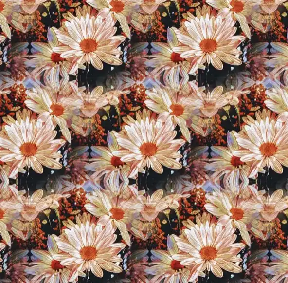 The image displays a kaleidoscopic, repeating pattern of daisies with orange centers and white petals, overlaid with the…