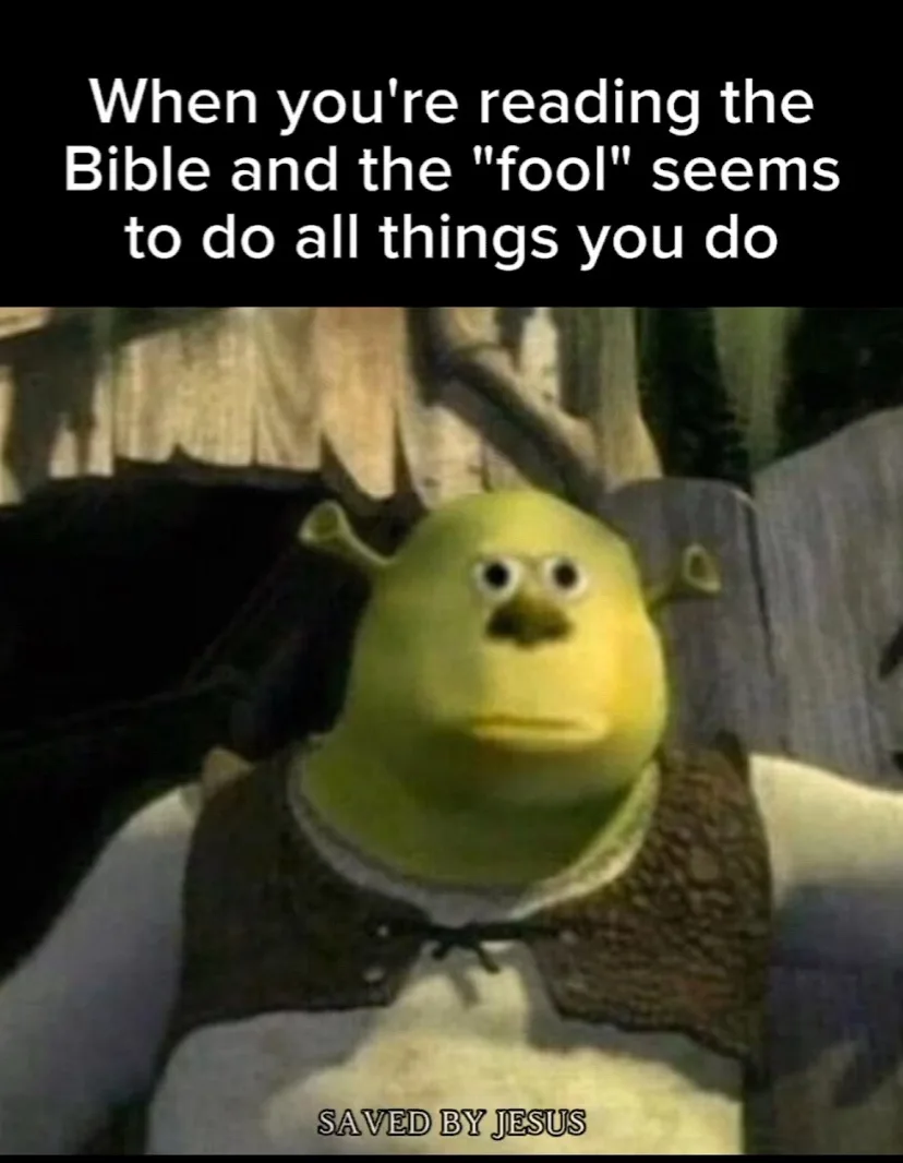 A still image of the green ogre Shrek from the animated movie, looking confused and slightly bewildered. White text at the…