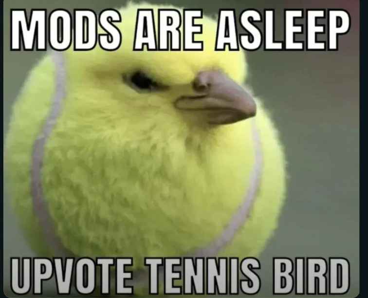 A close-up image of a yellow, fluffy bird with a tennis ball texture and two gray stripes, looking slightly smug or…