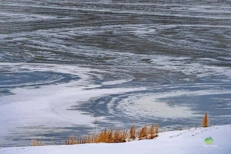 A serene winter scene shows a partially frozen lake with swirling ice patterns and snow-covered banks, where dry grasses…