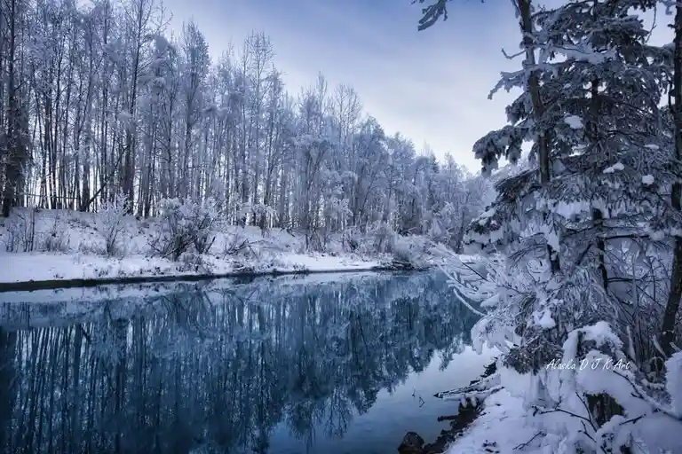 A serene winter landscape photograph shows a calm, blue river reflecting snow-covered trees under a pale sky. The image is…