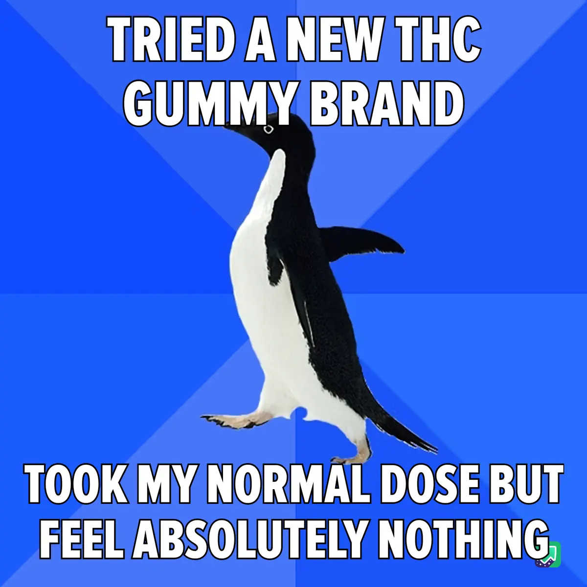 I set my expectations low, but I still managed to slide right under them!