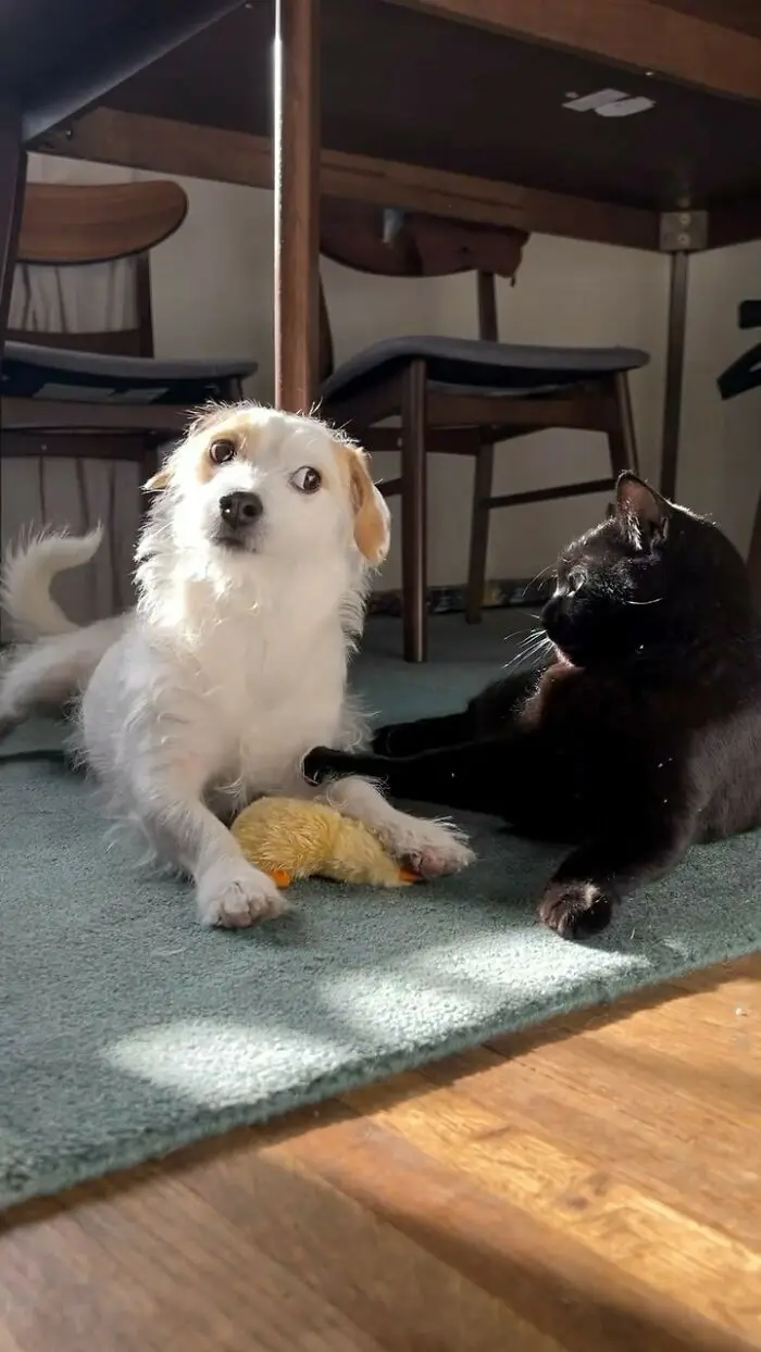 That side-eye says it all