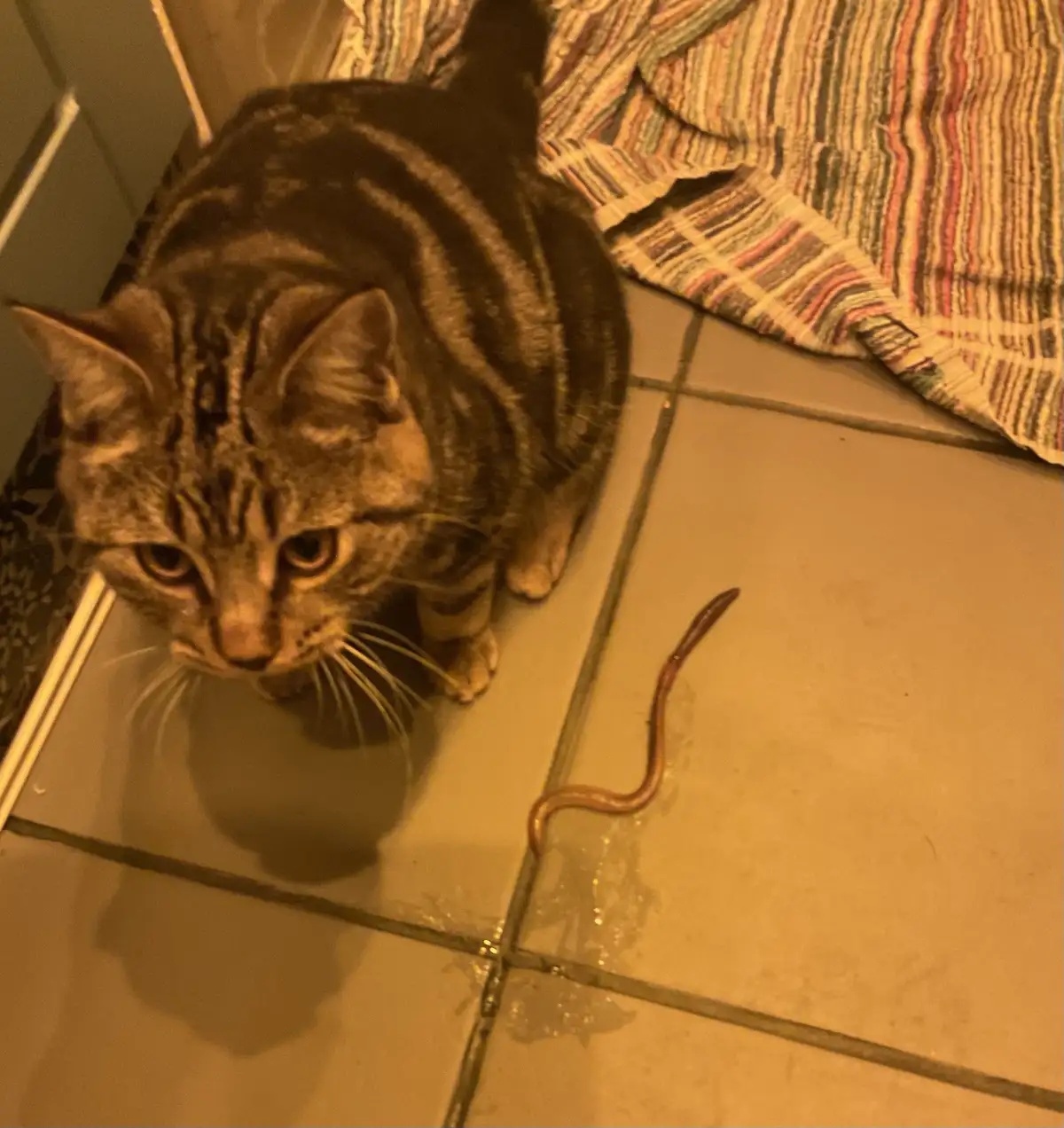 Burt Surprised Me with a Snake!
