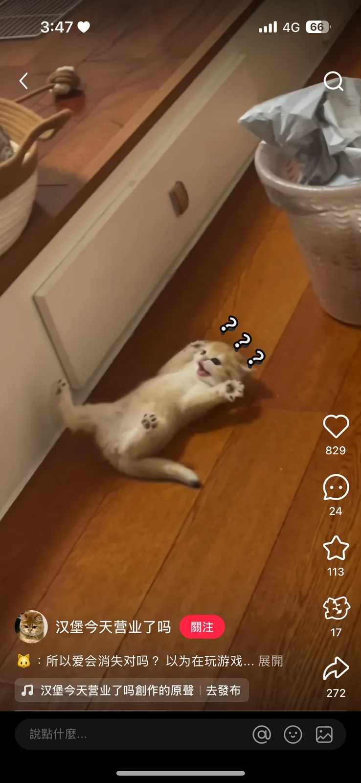 一只浅色小猫仰面躺在木地板上，四肢朝天，表情困惑，头顶有三个问号图案，背景是白色柜子和垃圾桶。图片下方有用户评论文字“所以爱会消失对吗？以为在玩游戏...”。