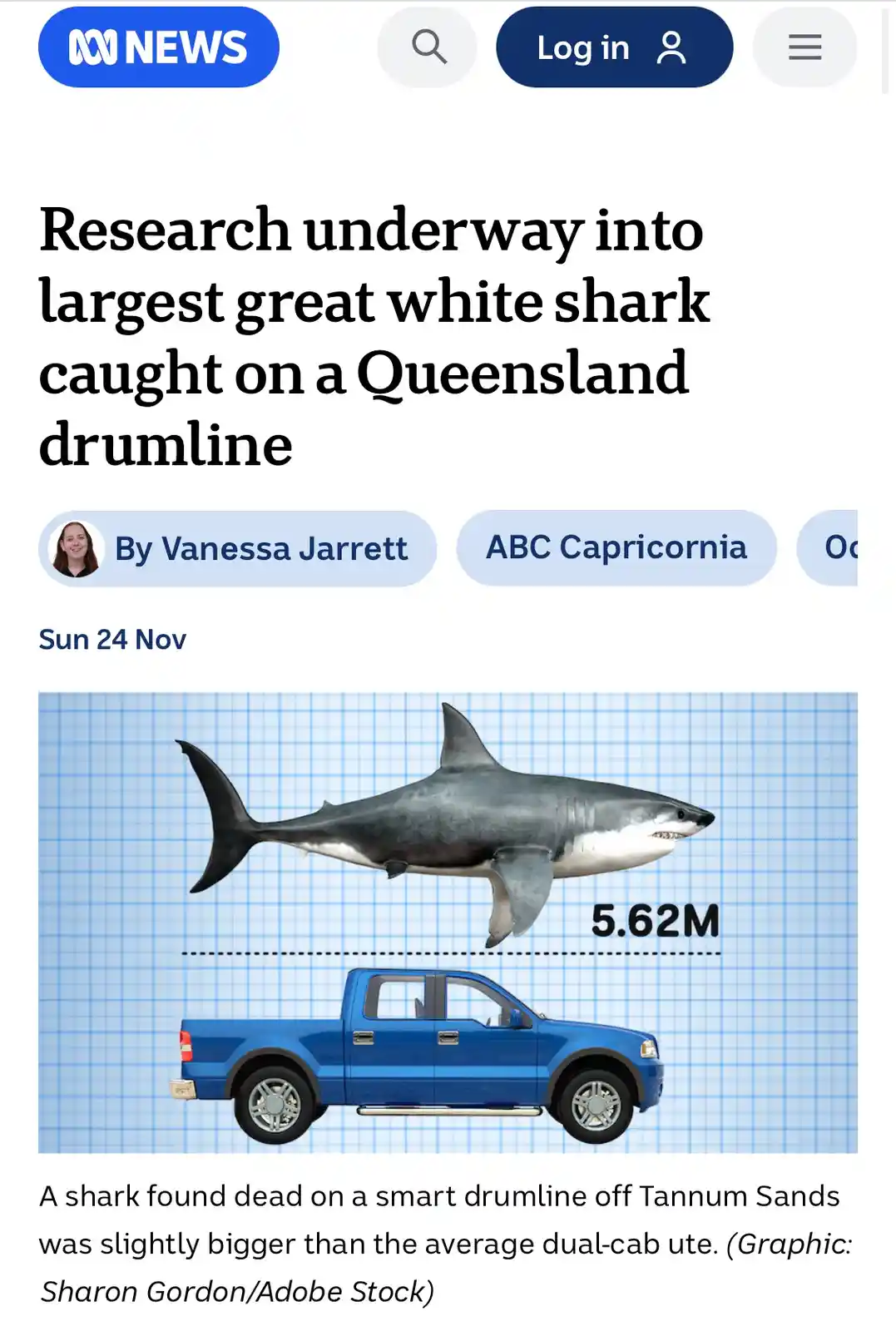 An image from an ABC News article shows a 5.62-meter great white shark digitally placed above a blue pickup truck on a grid…