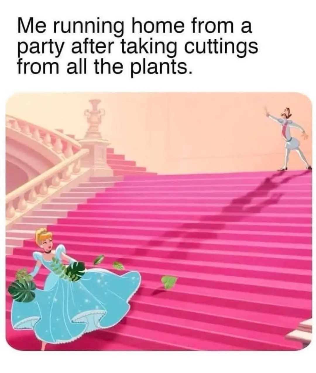 A cartoon image shows Cinderella in a blue dress running down a grand pink staircase while clutching plant cuttings, with a…