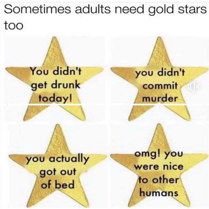 The image displays four gold stars arranged in a 2x2 grid, each with black text. The top text reads 'Sometimes adults need…