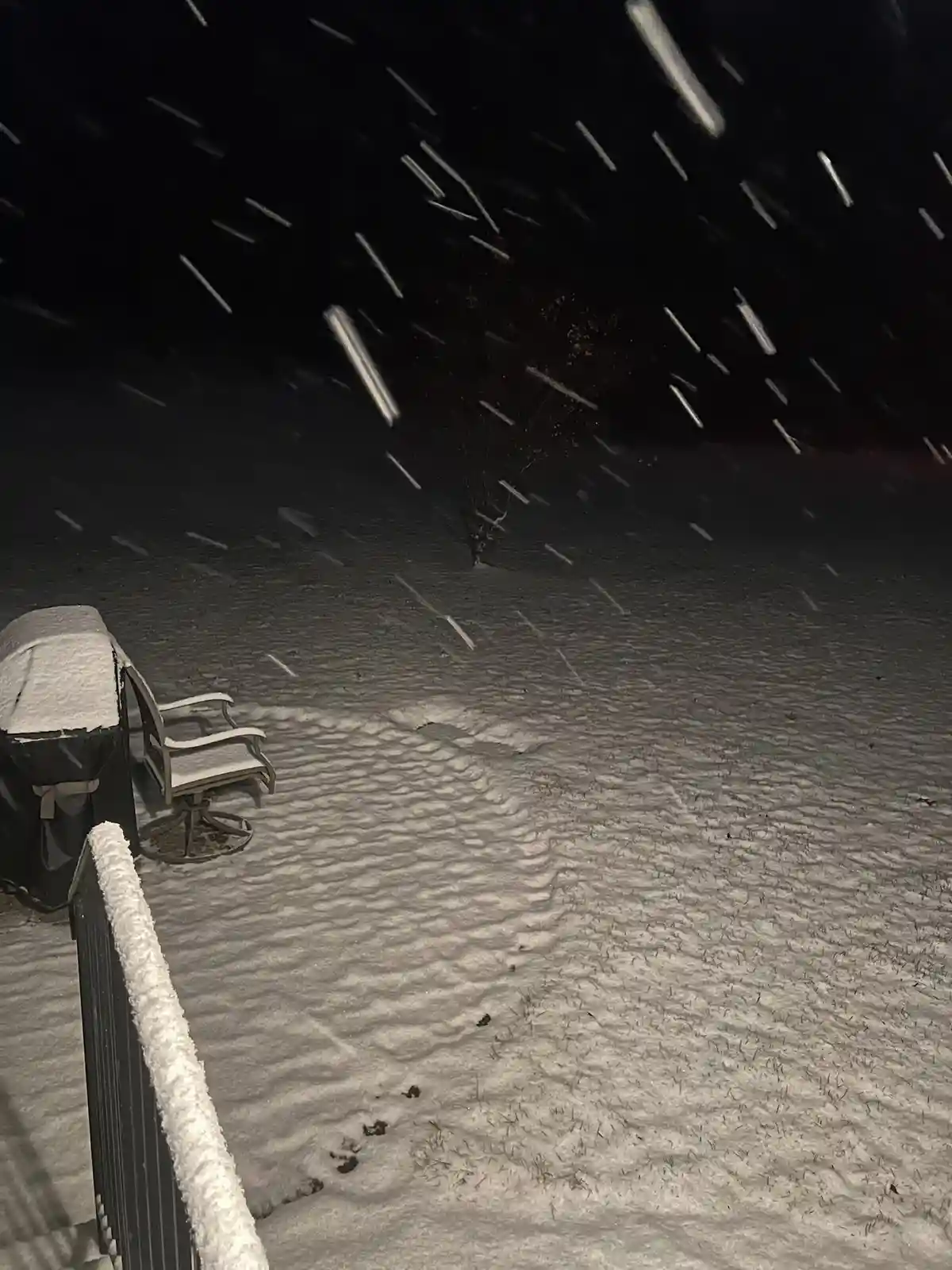 A nighttime photo shows a snowy yard with a snow-covered chair and grill cover, a fence in the foreground, and a small tree…
