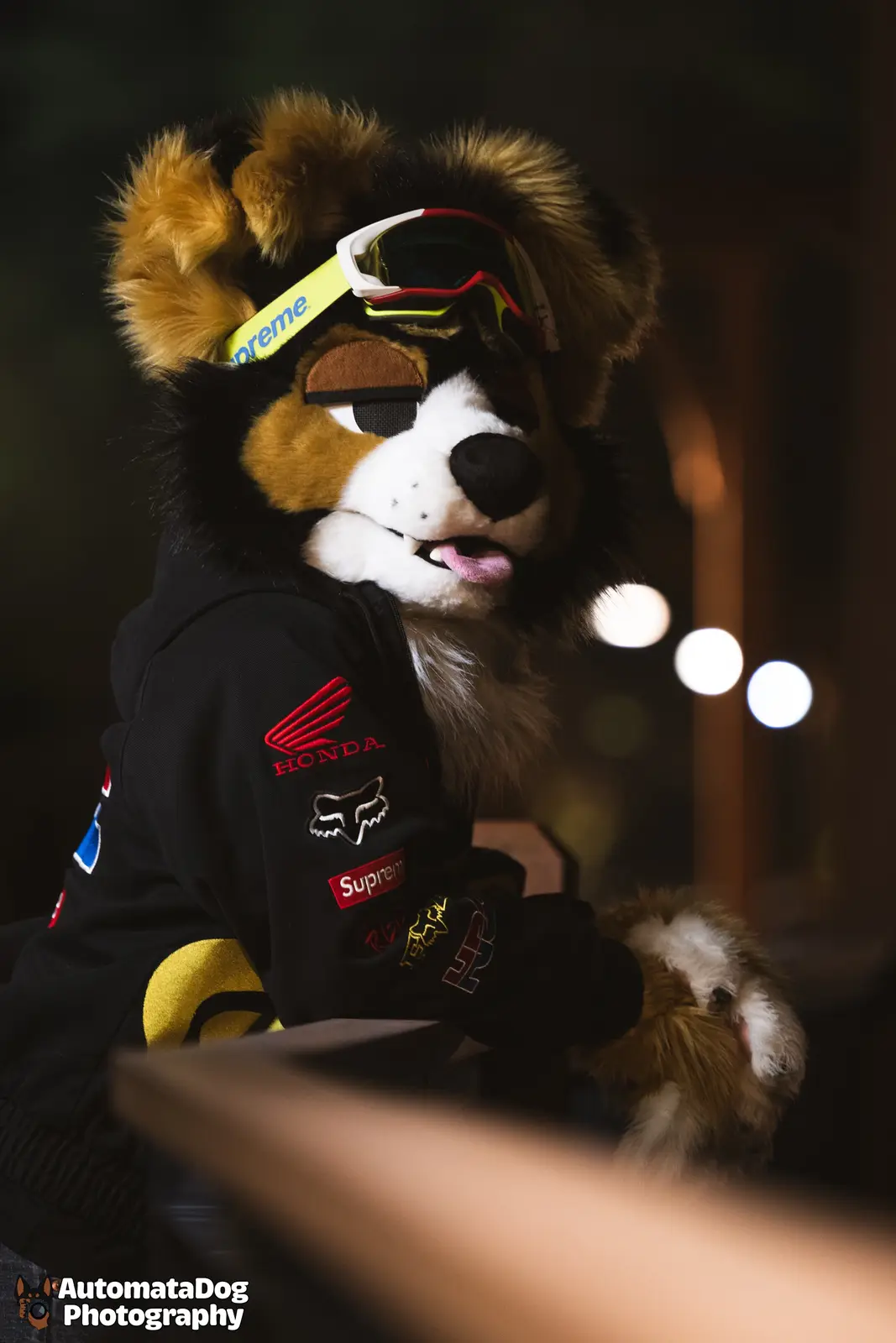 A person in a detailed tri-color dog fursuit wearing ski goggles with a yellow 'Supreme' strap, a black hoodie with red…