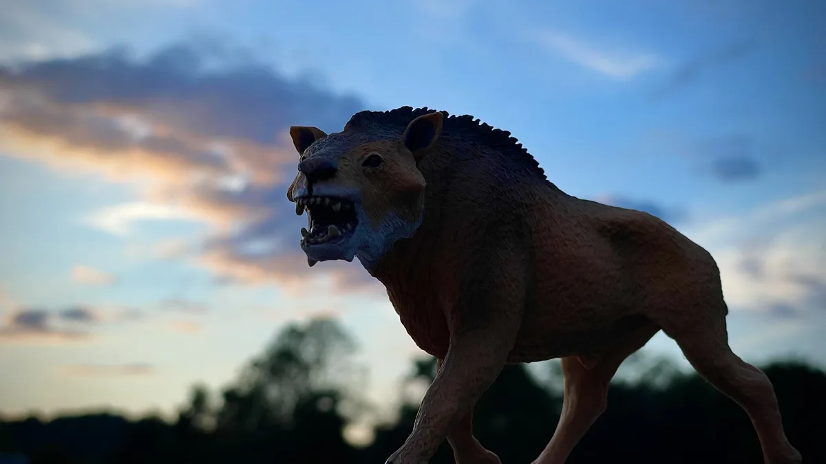 Witness the Last Sunset of the Oligocene Era