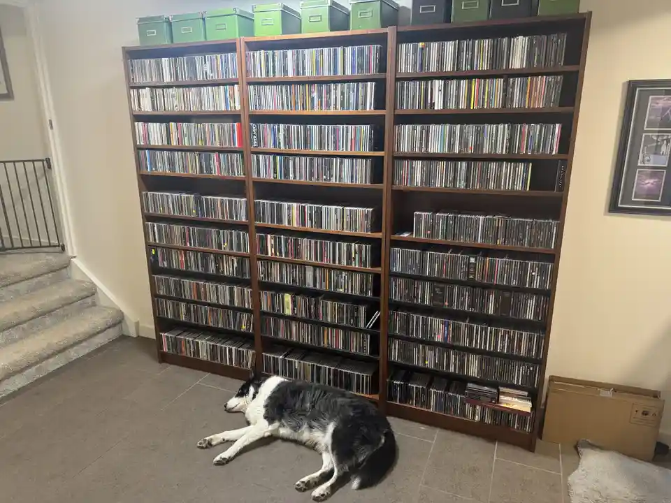 A black and white dog lies relaxed on a tiled floor in front of three large, fully stocked wooden bookshelves filled with…