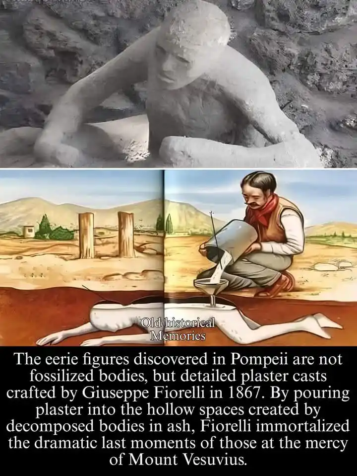 The image is split into two panels. The top shows a real, gray plaster cast of a human figure from Pompeii, seemingly in a…