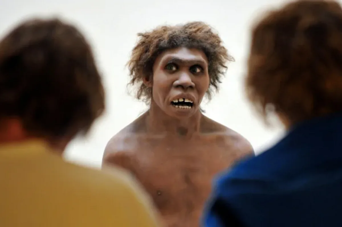 A reconstructed model of a Neanderthal with a shocked, wide-eyed expression stares forward, flanked by two blurred modern…